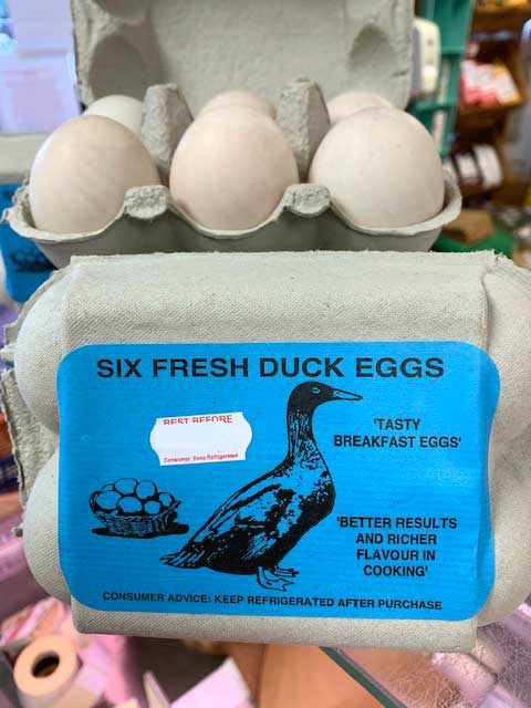 Duck eggs x 6 1