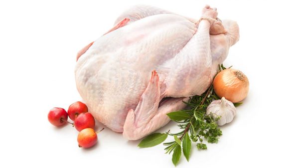 Free-Range Bronze Turkey 1