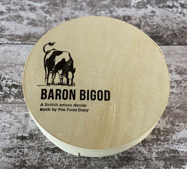 Baron Bigod 1